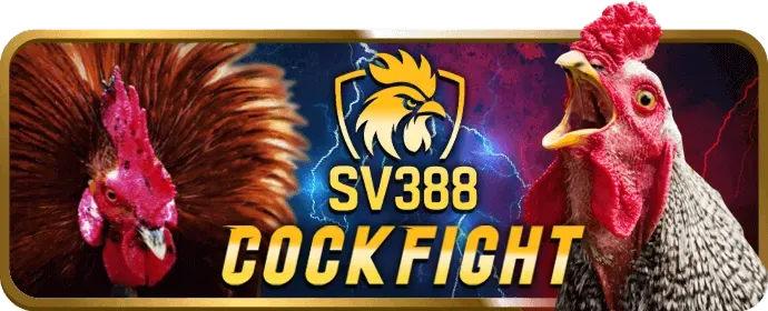 Đội ngũ chăm sóc khách hàng 286bet 24/7